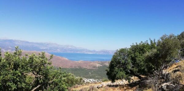 From Lasithi Area: Richtis Gorge Experience - Common Questions