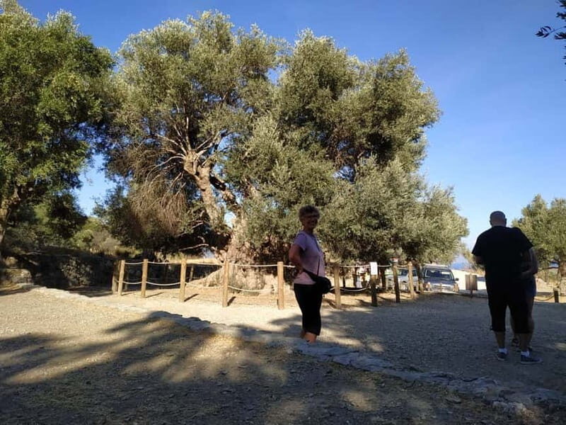 From Lasithi: Richtis Gorge - FAQ