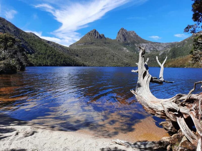 From Launceston: Sheffield Murals & Cradle Mountain Day Tour - Practical Details and What to Expect