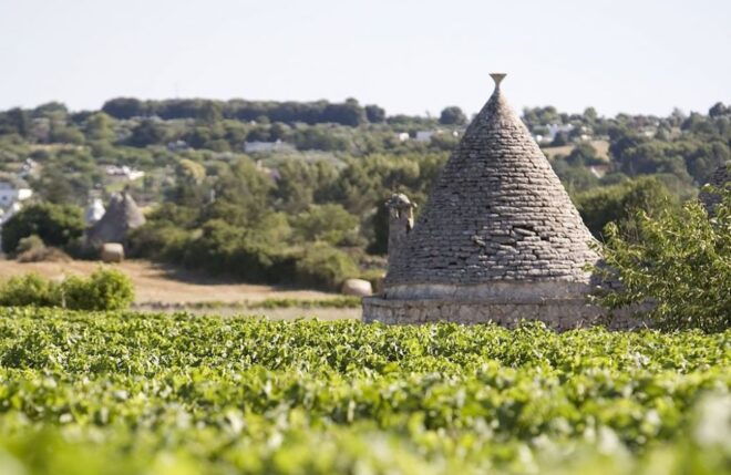 From Lecce: Full-Day Valle Ditria Tour With Guide - Experience