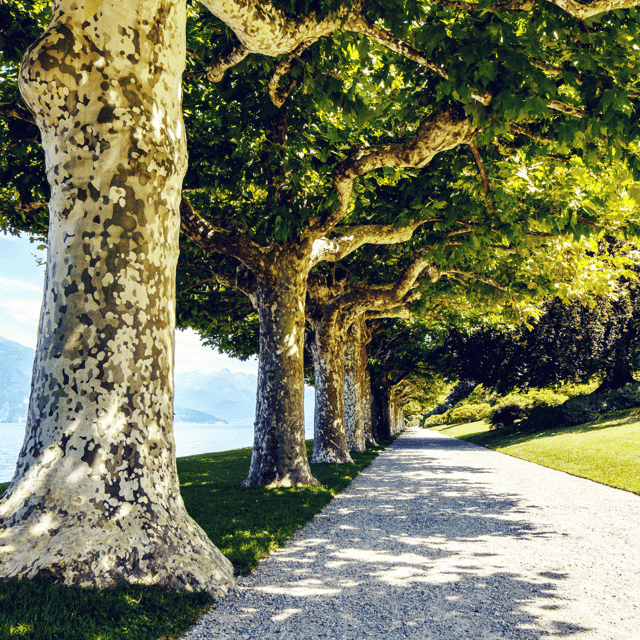 From Lecco: Lakeside Villas Entry Tickets with Ferries - Good To Know
