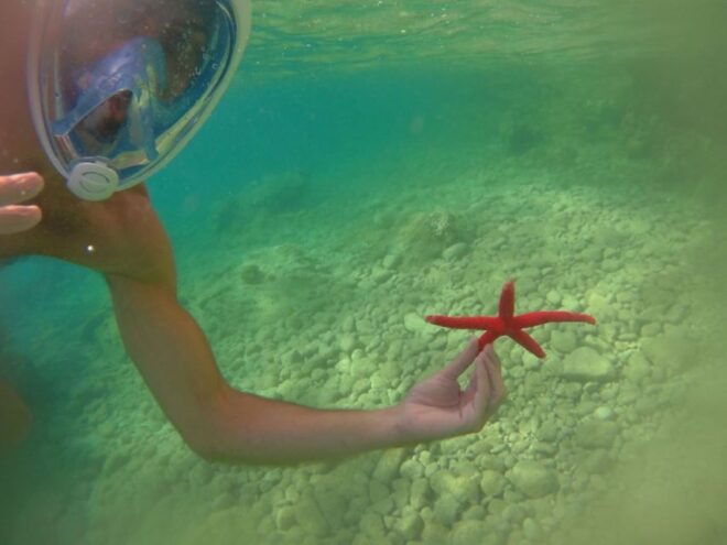From Lefkada: Half-Day Kayak Tour to Meganisi Island - The Sum Up