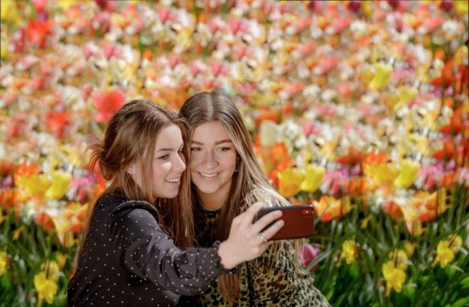 From Leiden Central: Keukenhof Ticket & Public Bus Transfer - Highlights