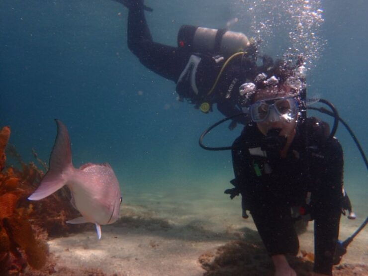 From Leigh: Goat Island Try Scuba Diving Experience - Experience Highlights