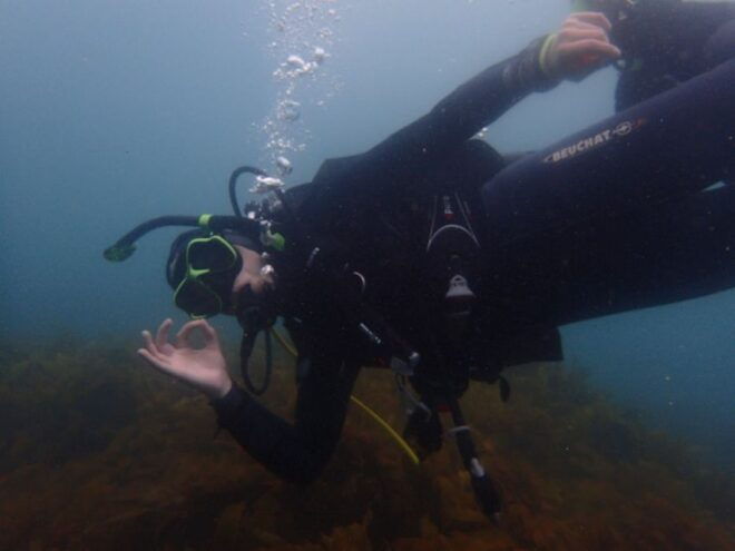 From Leigh: Goat Island Try Scuba Diving Experience - Full Description of the Experience