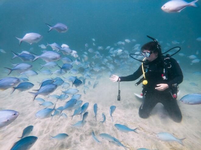 From Leigh: Goat Island Try Scuba Diving Experience - Reserve Now & Pay Later Details