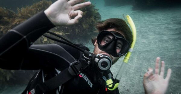 From Leigh: Goat Island Try Scuba Diving Experience - Related Activities
