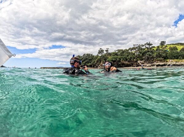 From Leigh: Goat Island Try Scuba Diving Experience - What to Bring and Not Allowed