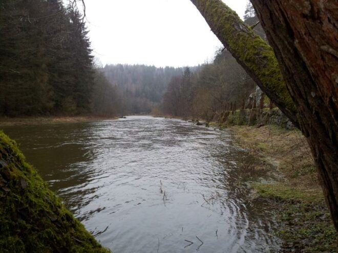 From Leipzig: Day Tour to the Green Belt - Detour to Castle Ruins Near Krebes