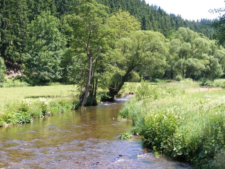 From Leipzig: Day-Trip to the Ore Mountains - Experience