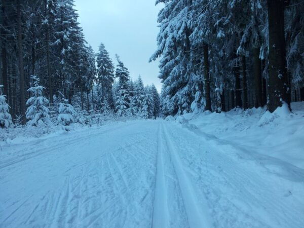 From Leipzig: Return Transfer to Fichtelberg Ski Run - The Sum Up