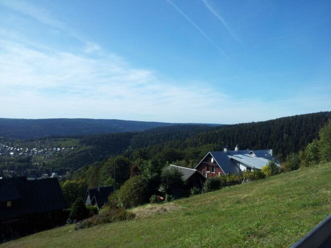 From Leipzig: Vogtland Music Day Trip - Culinary Delights in Vogtland