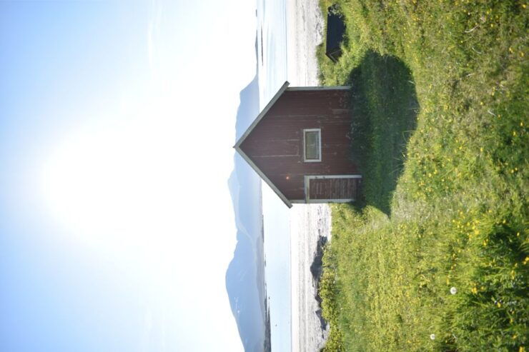 From Leknes: Private Lofoten Islands Tour With Transfer - Experience Highlights