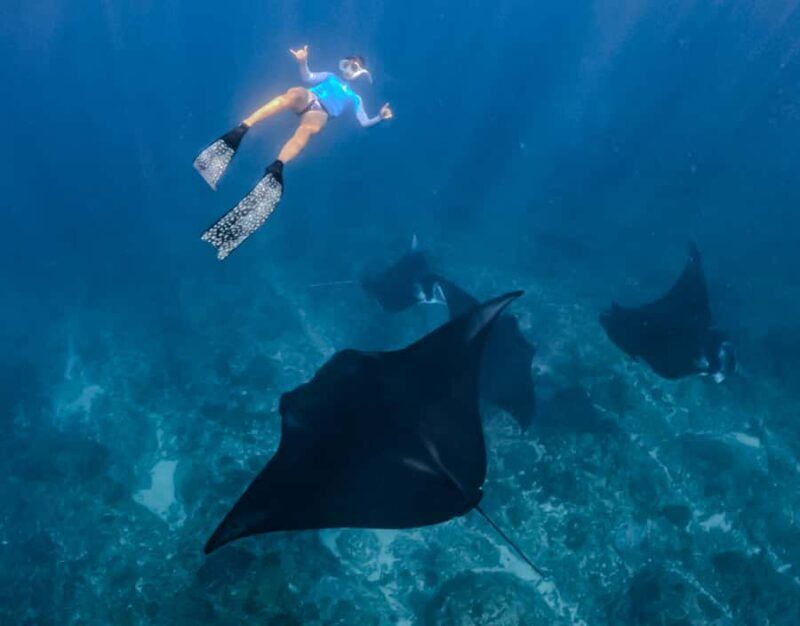 From Lembongan: Full Day Private Boat Snorkeling Nusa Penida - Good To Know