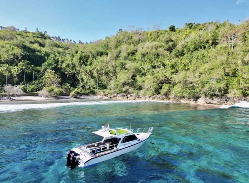 From Lembongan: Full Day Private Boat Snorkeling Nusa Penida - Why This Tour Offers Great Value