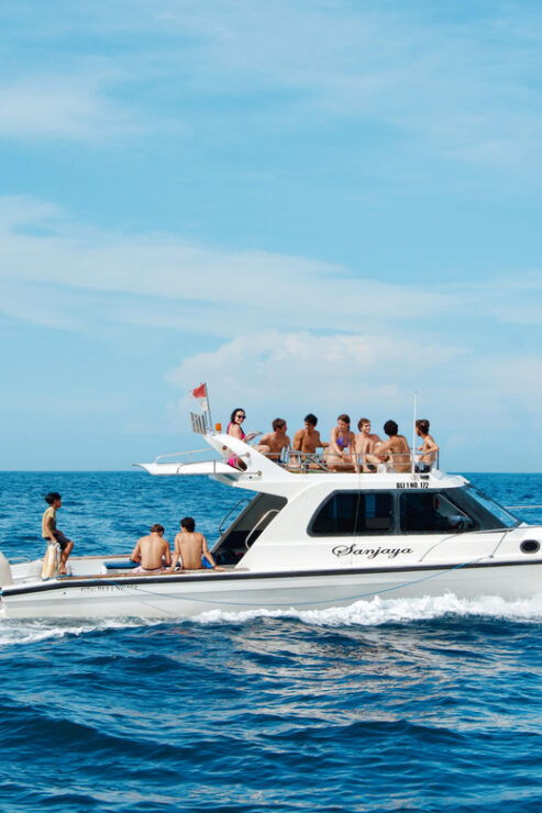From Lembongan: Full Day Private Boat Snorkeling Nusa Penida - Itinerary Highlights