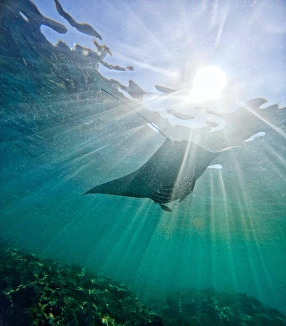 From Lembongan: Full Day Private Boat Snorkeling Nusa Penida - Inclusions and Amenities