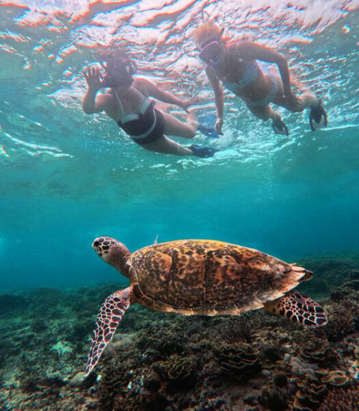From Lembongan: Full Day Private Boat Snorkeling Nusa Penida - Booking Details
