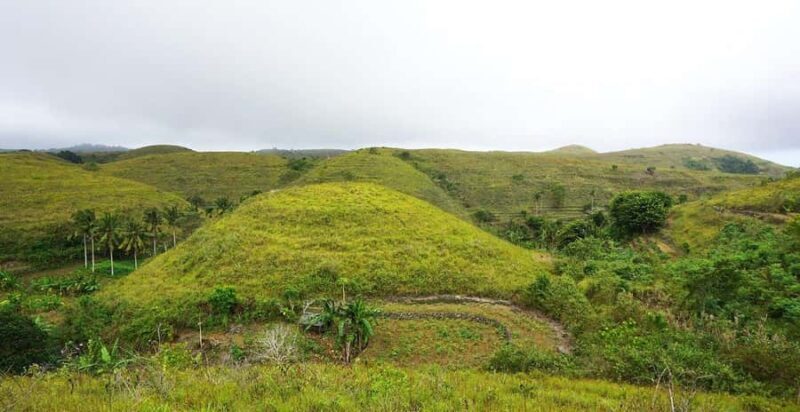 From Lembongan: Full-Day Private Tour East Nusa Penida - Who Should Consider This Tour?