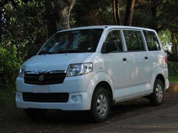 From Lembongan: Full-Day Private Tour East Nusa Penida - Tips for a Great Experience
