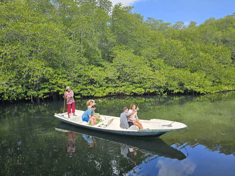 From Lembongan: Kayak/Paddleboard/Boat Mangrove Tour - Final Thoughts