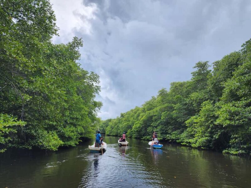 From Lembongan: Kayak/Paddleboard/Boat Mangrove Tour - Authentic Experiences from Reviews