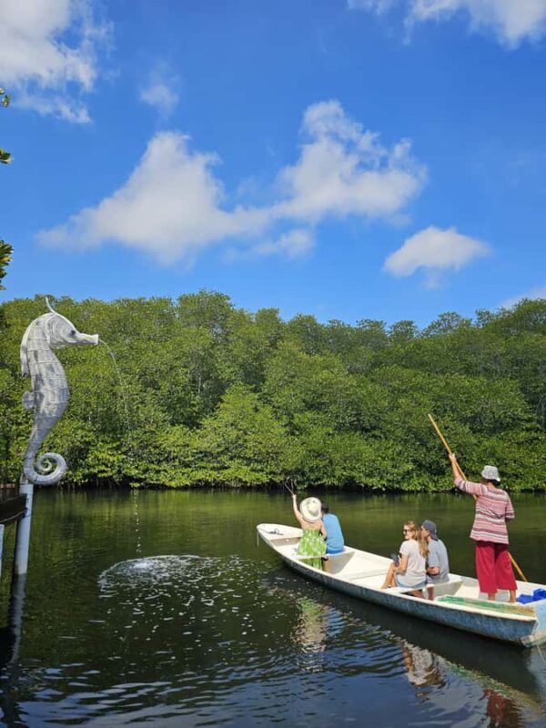 From Lembongan: Kayak/Paddleboard/Boat Mangrove Tour - Pricing and Value
