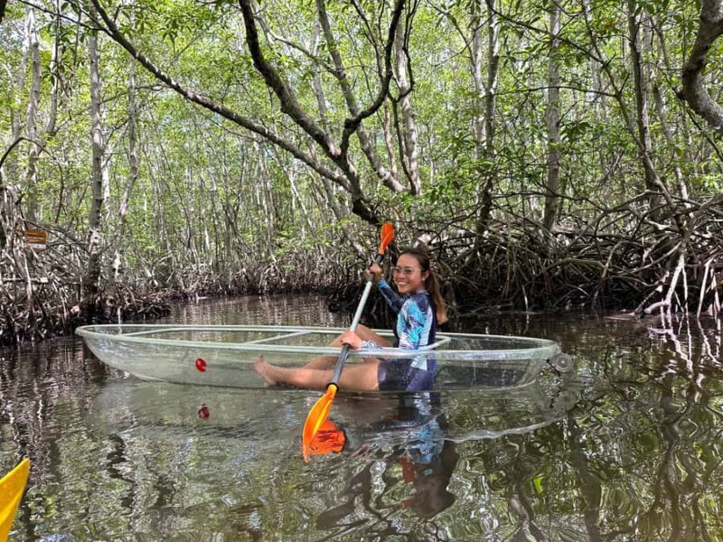 From Lembongan: Kayak/Paddleboard/Boat Mangrove Tour - The Sum Up