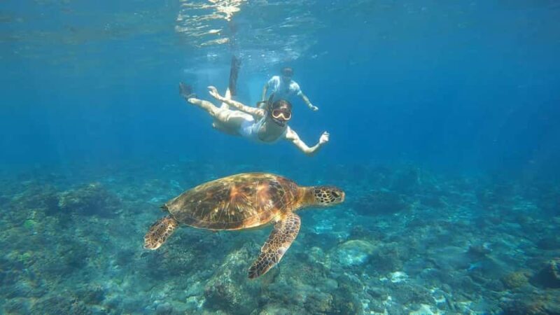 From Lembongan: Nusa Penida Private Snorkeling Tour - Practical Details and Considerations