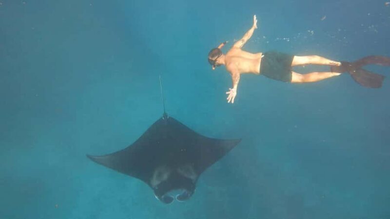 From Lembongan: Nusa Penida Private Snorkeling Tour - Authentic Feedback from Travelers