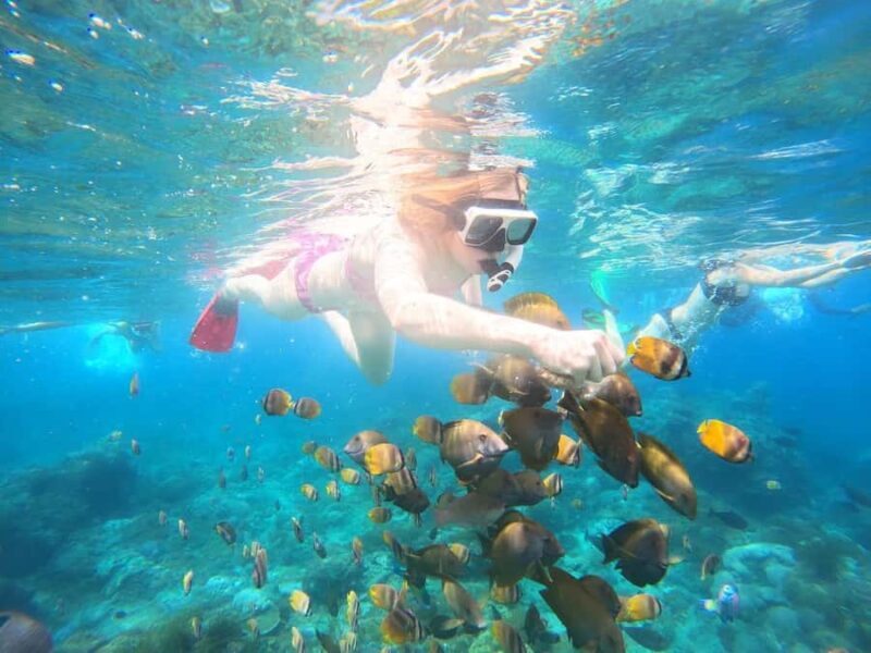 From Lembongan: Nusa Penida Private Snorkeling Tour - Good To Know
