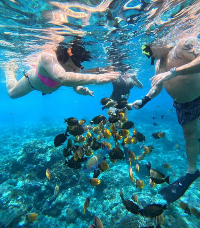 From Lembongan: Nusa Penida Private Snorkeling & West Tour - The Sum Up