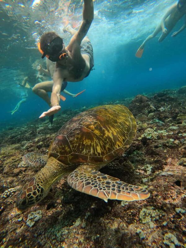From Lembongan: Nusa Penida Private Snorkeling & West Tour - FAQ