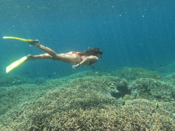 From Lembongan: Nusa Penida Snorkeling Day Trip - Experience Highlights