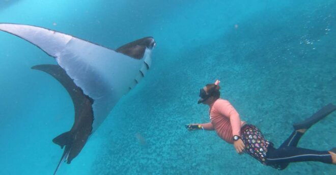 From Lembongan: Nusa Penida Snorkeling Day Trip - Common Questions