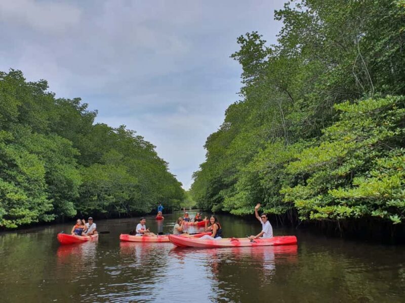 From Lembongan/Penida: Manta Point Private Snorkeling Tour - Detailed Review of the Manta Point Private Snorkeling Tour