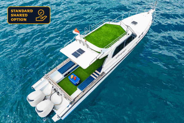 From Lembongan: Private Boat Snorkeling 4 Spots Nusa Penida - Safety Guidelines