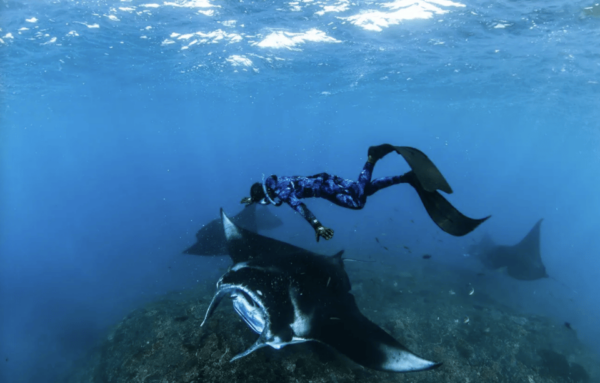 From Lembongan: Private Boat Snorkeling 4 Spots Nusa Penida - Questions You May Have