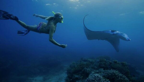 From Lembongan: Private West Penida Tour and Snorkeling - Booking and Cancellation