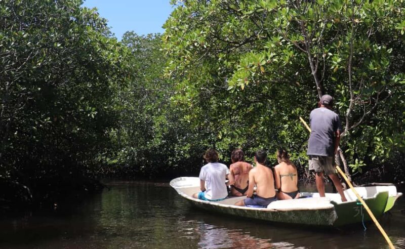 From Lembongan: Snorkeling 3 Spots, Mangrove and Land Tour - Who Should Book This Tour?