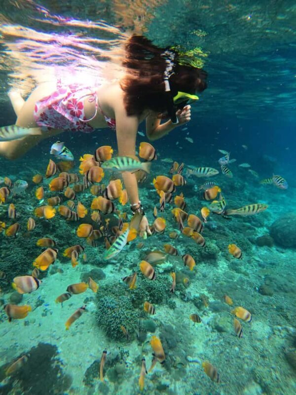 From Lembongan: Snorkeling 3 Spots, Mangrove and Land Tour - The Sum Up: Is It Worth It?