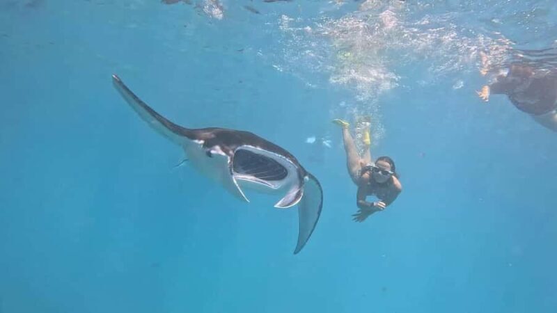 From Lembongan: Snorkeling 3 Spots, Mangrove and Land Tour - The Itinerary Breakdown