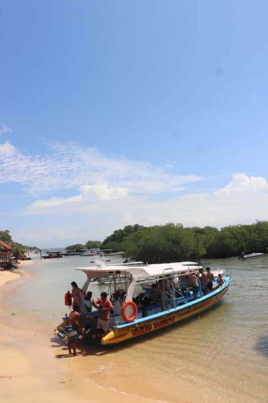 From Lembongan: Snorkeling 3 Spots, Mangrove and Land Tour - Final Thoughts