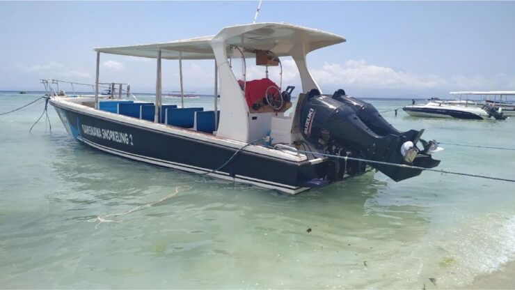 From Lembongan: Snorkeling at Manta Bay, Gamat and Crystal - Experience Highlights