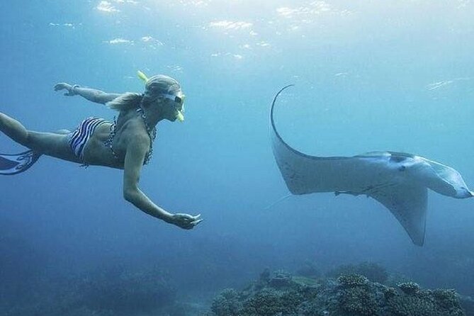 From Lembongan: Snorkeling Day Trip to Nusa Lembongan & Nusa Penida Island - Tour Pricing and Booking Details