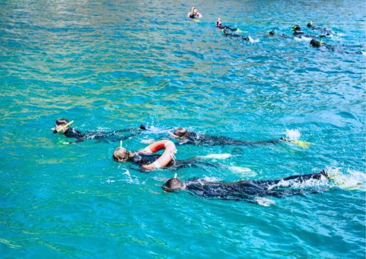 From L'Estartit: Snorkeling Excursion at the Coast - Exciting Snorkeling Adventure in LEstartit