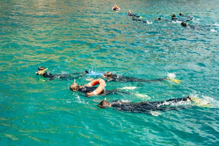 From L'Estartit: Snorkeling Trip to the Medes Islands - Experience Highlights