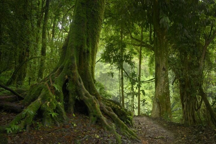 From Leticia: Wild Amazonas Adventure 4-Day Tour - Tour Duration and Booking Details