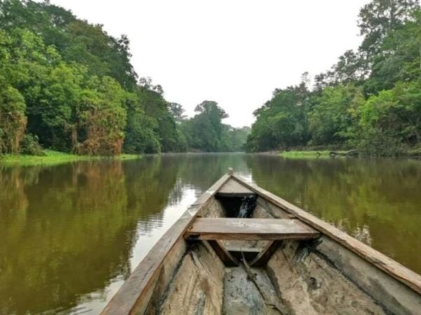 From Leticia: Wild Amazonas Adventure 4-Day Tour - Directions and Tips for Travelers