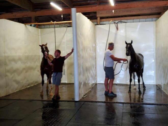 From Lexington: Kentucky Horse Farms Tour - Frequently Asked Questions